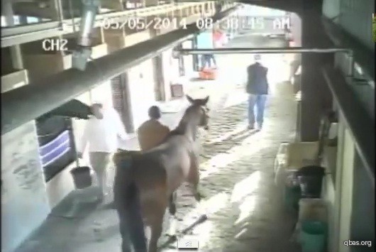 عامل اسطبل يتعرض لعضة من حصان