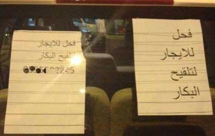 الرياض: القبض على شاب كتب على سيارته "فحل للإيجار لتلقيح البكار" الرياض: القبض على شاب كتب على سيارته "فحل للإيجار لتلقيح البكار"