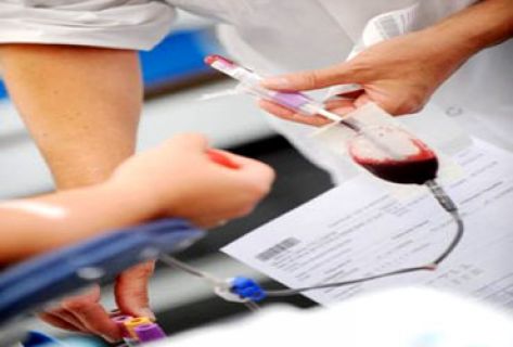 حملة للتبرع بالدم في العقبة غدا حملة للتبرع بالدم في العقبة غدا