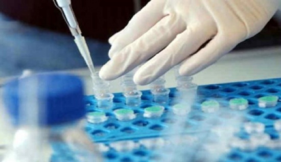 انطلاق فعاليات مؤتمري الكيمياء والتقانات الحيوية والهندسة الوراثية انطلاق فعاليات مؤتمري الكيمياء والتقانات الحيوية والهندسة الوراثية