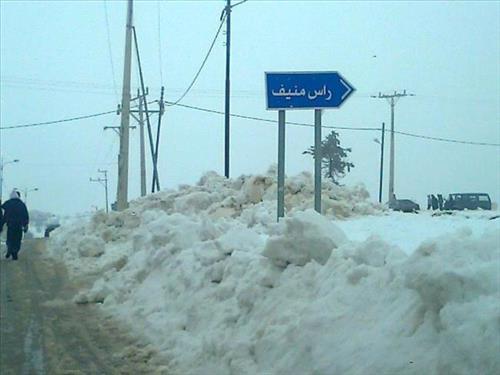 ثلوج غير متراكمة على مرتفعات عجلون ثلوج غير متراكمة على مرتفعات عجلون