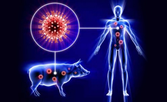 المفرق : 12 اصابة بفيروس h1n1 في 24 ساعة المفرق : 12 اصابة بفيروس h1n1 في 24 ساعة