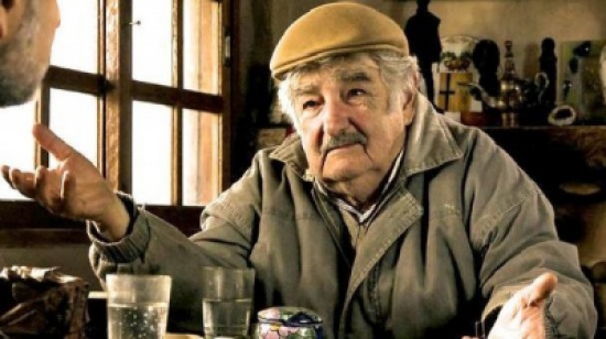 الهند.. فيل يقتل 5 من عائلة واحدة دوساً