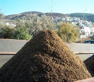 شكوى من روائح جفت الزيتون الكريهة بلواء بني كنانة شكوى من روائح جفت الزيتون الكريهة بلواء بني كنانة