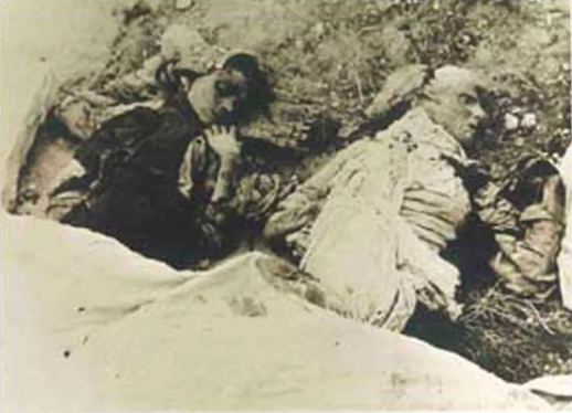 رئيس مجلس النواب يرعى احياء ذكرى "مذبحة الدوايمة"