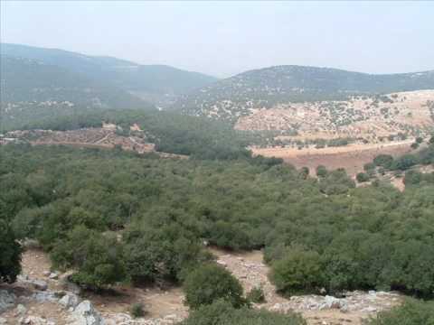 النائب الخشاشنة يطلق مبادرة مجتمعية في بيت ايدس