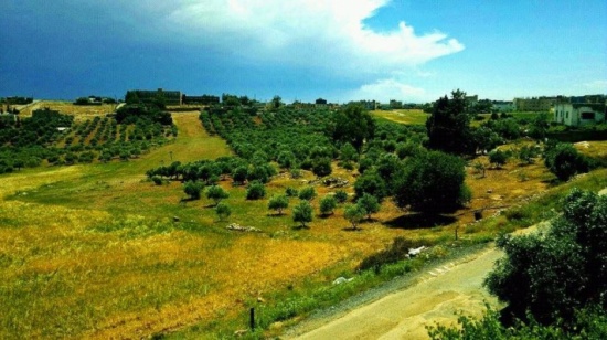 انتخاب هيئة إدارية جديدة لجمعية سيدات راكين