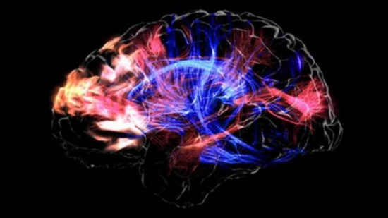 هل سيمكن احياء الموتى قريبا؟