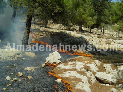 حريق غابات الجزازة في جرش حريق غابات الجزازة في جرش