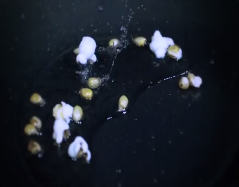 بالتصوير البطيء: شاهد كيف تتحول حبة الذرة إلى بوشار!