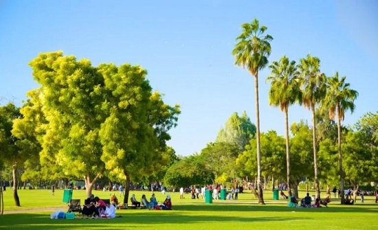لم تسمع بها من قبل.. الحدائق القابلة للأكل وتأثيرها في حياتنا اليومية
