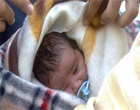 محاكمة طبيب توليد في الصين متهم بالاتجار بالرضع محاكمة طبيب توليد في الصين متهم بالاتجار بالرضع