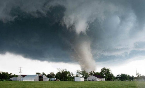 بالفيديو: إعصار قوي يطيح بأبقار في الهواء