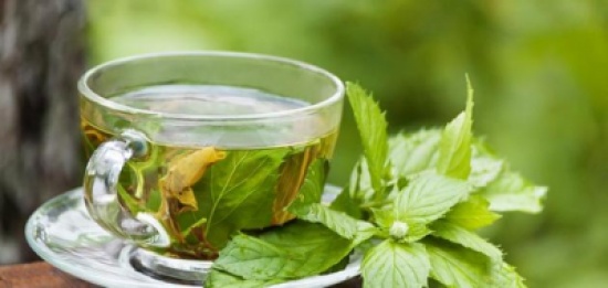 الشاي الأخضر .. مفتاح صحة الفم الشاي الأخضر .. مفتاح صحة الفم