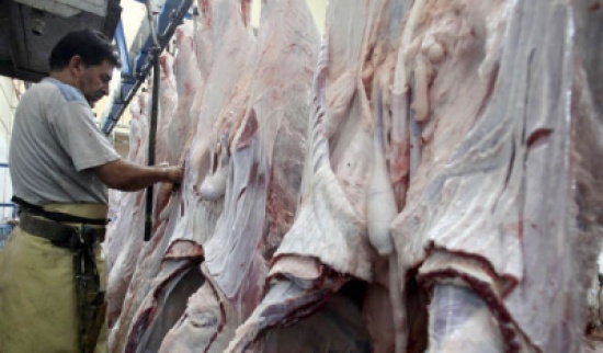 ذبح 12 الف راس غنم و نصف مليون دجاجة في مسلخ الامانة برمضان