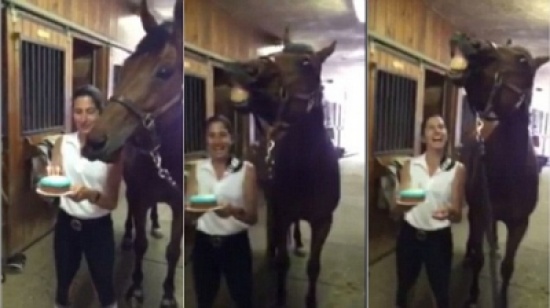 شاهد.. حصان يطفئ شموع عيد ميلاده مع ابتسامة عريضة