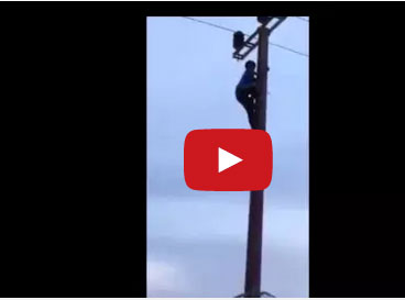 طفل يتسلق عمود كهرباء ليلقى نهاية كارثية أمام أصدقائه
