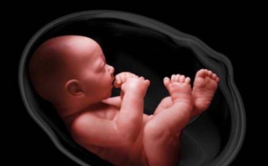 9 أمور مذهلة يشعر بها الجنين في بطن أمه!