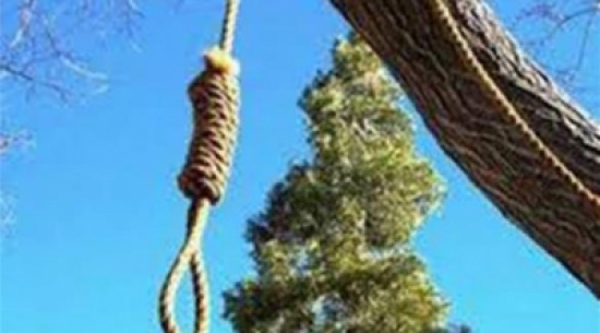 يعثر على ابنه مشنوقاً على شجرة يعثر على ابنه مشنوقاً على شجرة