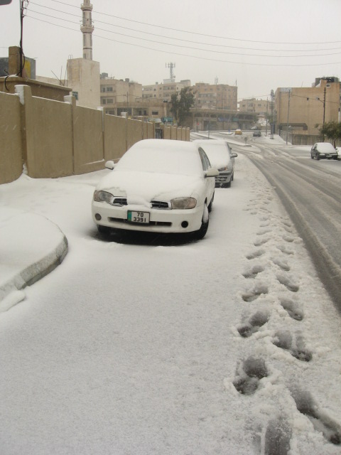 مدير قضاه بيرين : غرفة عمليات بيرين جاهزة للتعامل مع الحالة الجوية مدير قضاه بيرين : غرفة عمليات بيرين جاهزة للتعامل مع الحالة الجوية