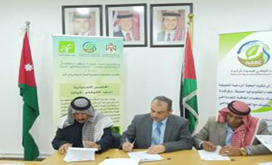 "البحوث الزراعية" يعلن إدخال المحاصيل الاستوائية في وادي الأردن "البحوث الزراعية" يعلن إدخال المحاصيل الاستوائية في وادي الأردن
