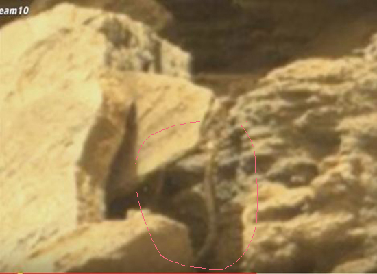 بالفيديو: لقطات غريبة لثعبان على سطح المريخ