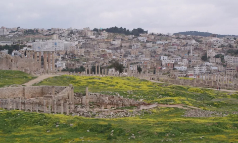 تكسير وحرق اشجار مشروع تخضير جرش