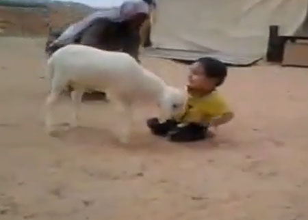 الولد المسكين