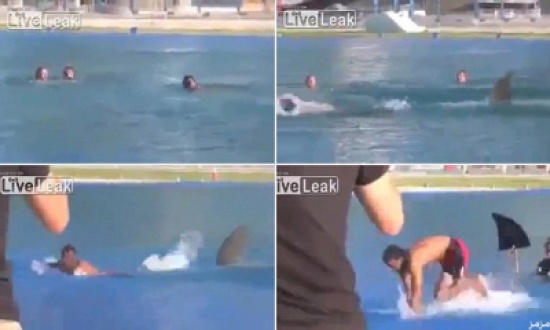 خدعة سمكة القرش كادت توقف قلب أمريكي