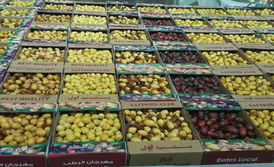 قطر تنظم أول مهرجان لـ "الرطب" غدا قطر تنظم أول مهرجان لـ "الرطب" غدا