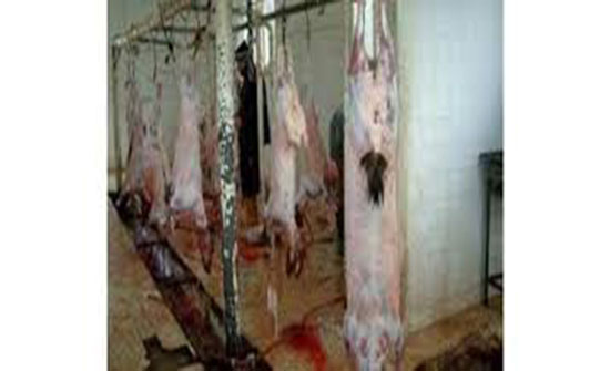 إغلاق مسلخ كفرنجة لافتقاره للشروط الصحية