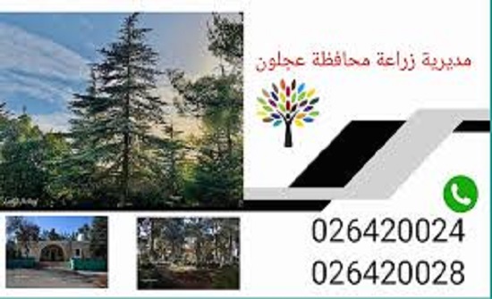 زراعة عجلون تنفذ مشاريع بكلفة 650 الف دينار زراعة عجلون تنفذ مشاريع بكلفة 650 الف دينار