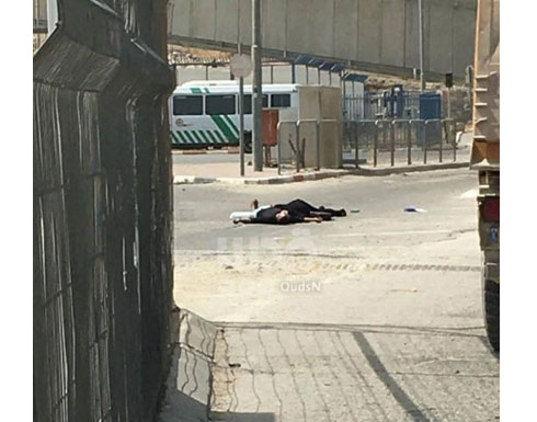 بالفيديو: استشهاد فلسطينيين برصاص الاحتلال على حاجز قلنديا