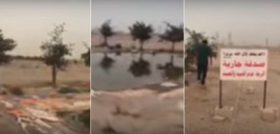 شاهد: خليجي يصنع بحيرة ويزرع حولها أشجار من أجل الطيور