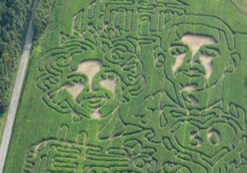 رسم صورة زفافه بـ"الذرة" على حقل مساحته 17 فداناً