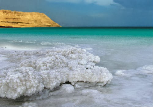 "اصدقاء البحر الميت" تنفذ حملة نظافة الخميس المقبل