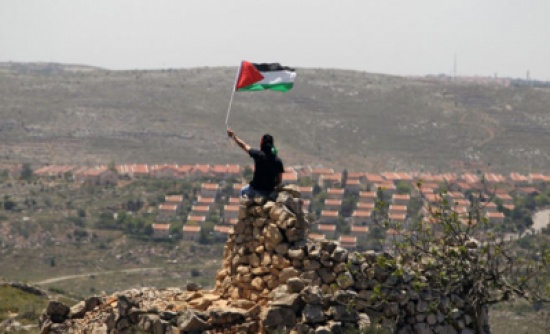 5 آلاف فلسطيني بسجون الاحتلال يضربون عن الطعام 5 آلاف فلسطيني بسجون الاحتلال يضربون عن الطعام
