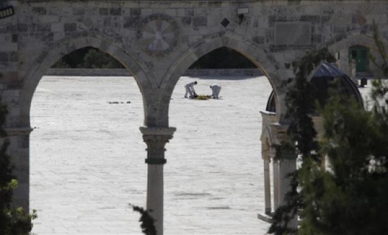 20 شهيدا فلسطينيا بـ "أحداث الأقصى" الشهر الماضي (أسماء)