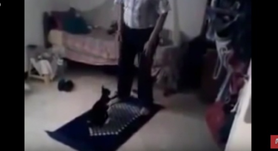 فيديو| ماذا فعلت هذه القطة لرجل كبير في السن وهو يصلي !!
