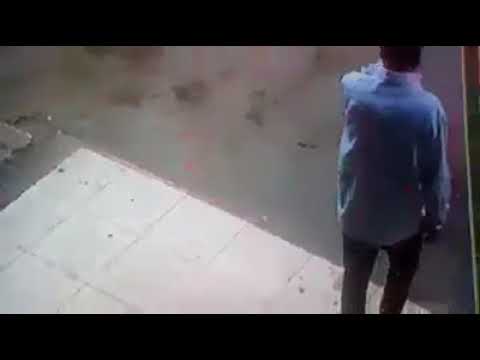 شاهد.. 9 أشخاص في محاولة لإنقاذ رجل من هجوم قطة