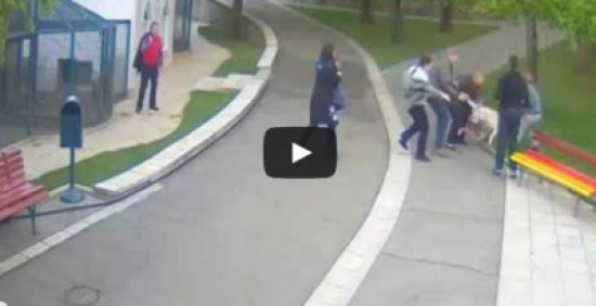 طفلة تنجو من هجوم ذئب قطبي حاول افتراسها