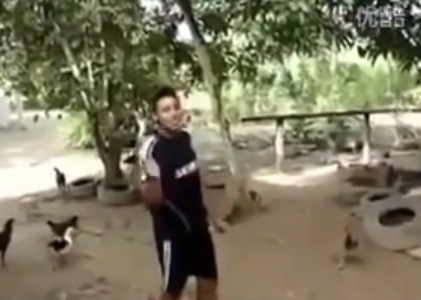 شاب صيني “يغني” ليجمع الدجاج حوله