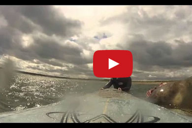 فقمة تتعلم التزلج