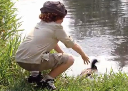 الطفل والبطة