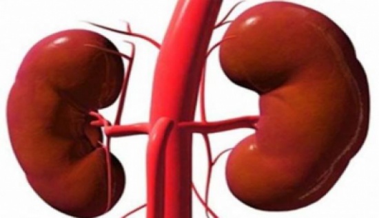 هذه الإشارات تدل على إصابتك بمرض في الكلى.. إكتشفها!