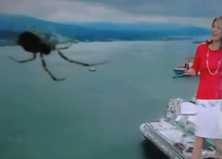 عنكبوت يظهر على الشاشة في النشرة الجوية