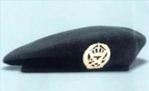 محافظ الكرك يلتقي المتقاعدين العسكريين محافظ الكرك يلتقي المتقاعدين العسكريين