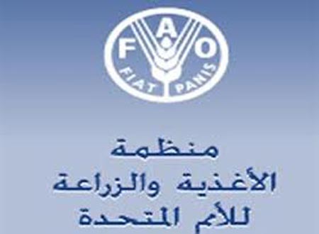 ورشة تدريبية على تجنب اصابة القطاع الحيواني بالامراض