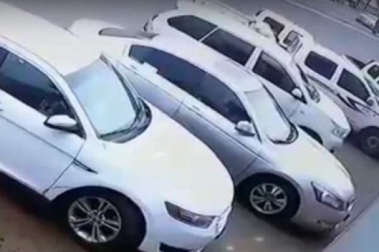 شاهد.. شاب يسرق خروفاً من صندوق سيارة متوقفة على الشارع