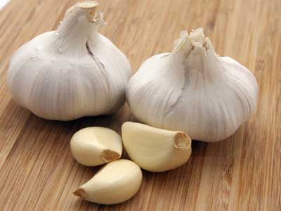 الثوم و فوائده الصحية المتعددة الثوم و فوائده الصحية المتعددة